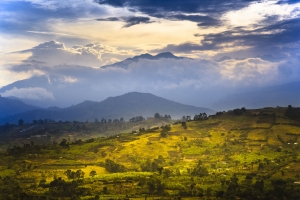 montagne-rwenzori-uganda