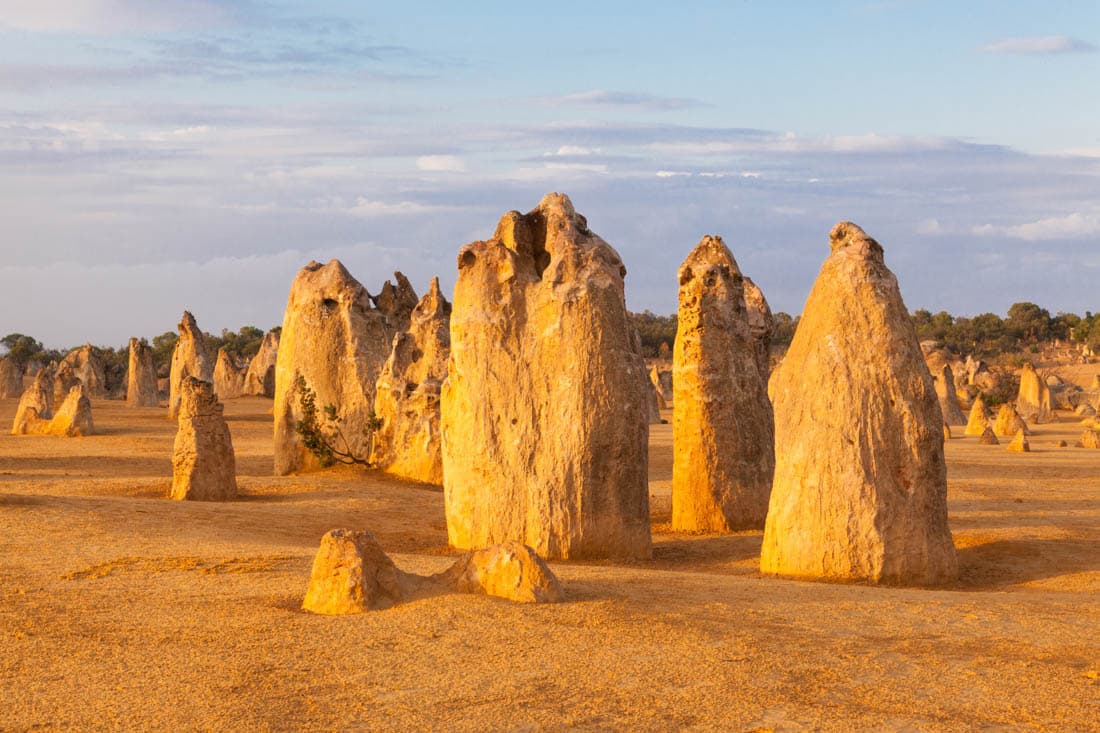 Les colonnes calcaires des Pinnacles surgissant du sable doré au coucher du soleil, parc national de Nambung, Australie