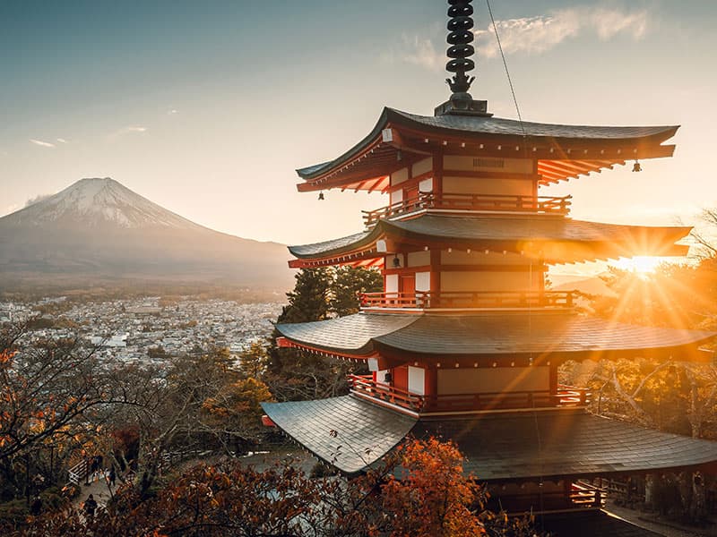 Temple japonais entouré de cerisiers en fleur