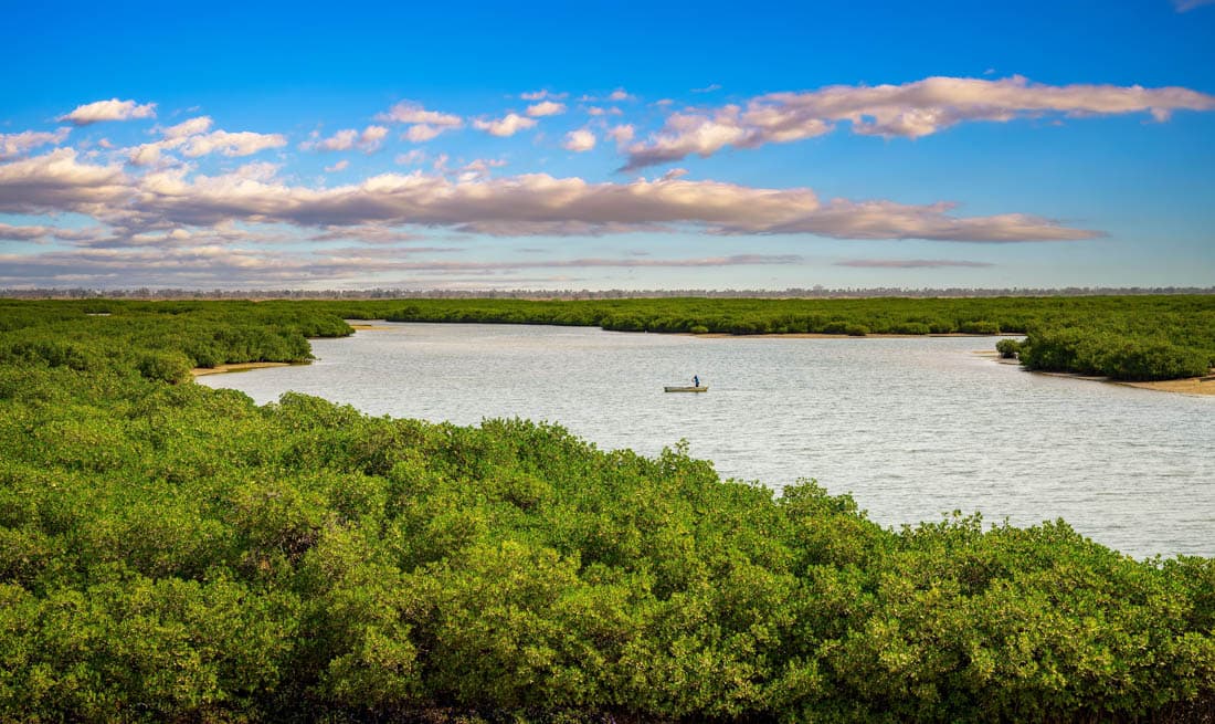 L'île de Fadiouth et ses coquillages, Sénégal