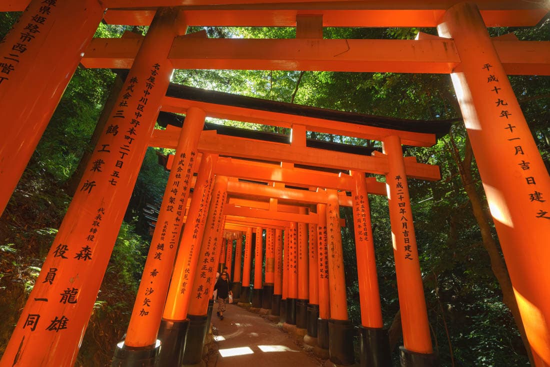 Porte de torii à Kyoto